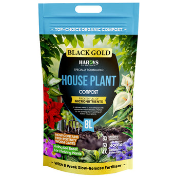 Bag of Black Gold Hardys House Plant Compost with gardening elements on the packaging on a white background