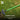 Garden tool with green handle on grass, highlighting durability features.