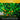Orchard with citrus trees bearing fruits, text promotes the product as having a loam base ideal for lemon, lime, and orange trees.