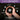 Hands holding soil with soil amendment benefits displayed on a dark soil background