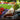 Gardening-themed collage with potted plants, gloves, and garden beds.
