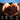 Hands holding soil with promotional text about the benefits of black gold compost soil