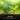 Young plants growing in soil with a blurred green background and John Innes Formula branding.