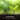 Young plants growing in soil with a blurred green background and John Innes Formula branding.