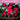 Pink flowers with green leaves on a pink background, promoting the benefits of the compost's nutrients for plants.