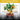 Potted plant with fruits on a blurred background with text about beneficial microbes.