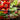 Collage of fresh vegetables including tomatoes, lettuce, peppers, and beans with a brand logo. Text on screen reads 'fruit and veg tailored'.