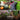 Collage of vegetables, flowers, and fruits with text 'All Seed Suitable' on a green background.
