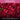 Red flowers with green leaves on a pink background, featuring text about organic fertilizer and slow-release feed.