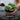 Lady topping up a small potted plant on a table with soil speckled with perlite. Text on screen describes perlite as an 'Aeration Enhancer'.