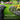 Gardens with flowers and a path, featuring text about lawn care product.