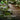 Watering can pouring water over a plant with a garden background slightly out of focus. Text on screen reads 'better moisture management'.