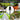 Garden trowel tool with various uses in gardening activities on a collage background.