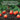 Tomatoes in a garden sat on a small mound of soil. Text on screen describes the advantages of using the tomato grow bag.