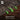 Soil with green arrows and text about rejuvenating tired soil.