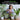 Woman watering plants with text about complete plant care for houseplants