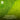 Green grass with text about fixing thatch and yellowing, featuring a brand logo.