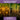 Comparison of roots with and without enhanced compost on a purple background