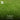 Green grass with text and a logo on a blurred green background