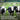 Cows in a field with text describing the organic non-recycled vegetation and well-rotted cattle manure that makes up the product.